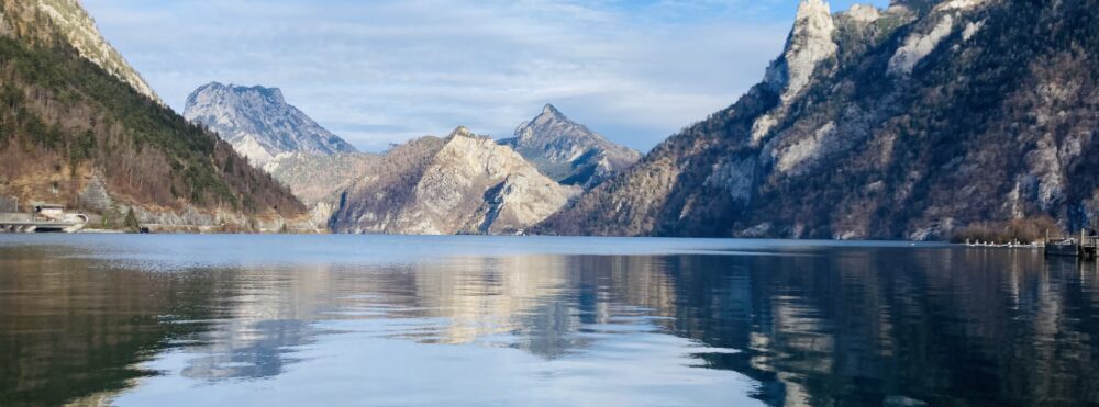 d.gruber1989@gmail.com