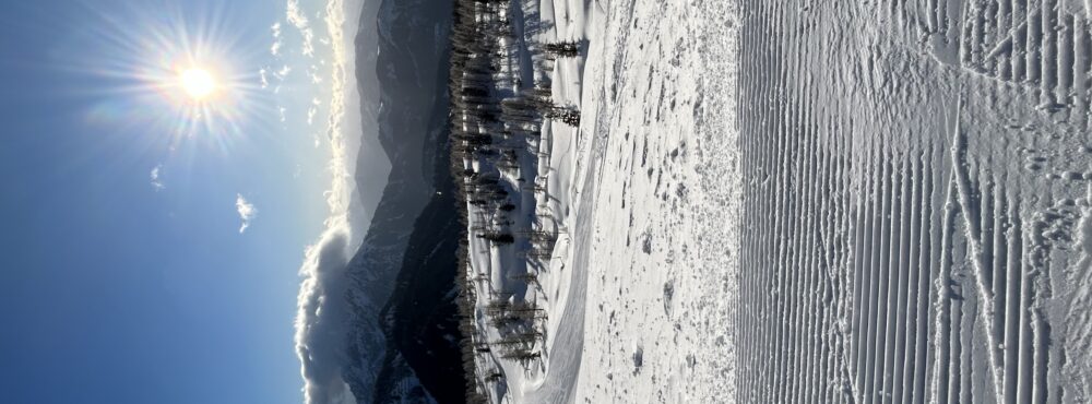 m.sternwieser@gmail.com